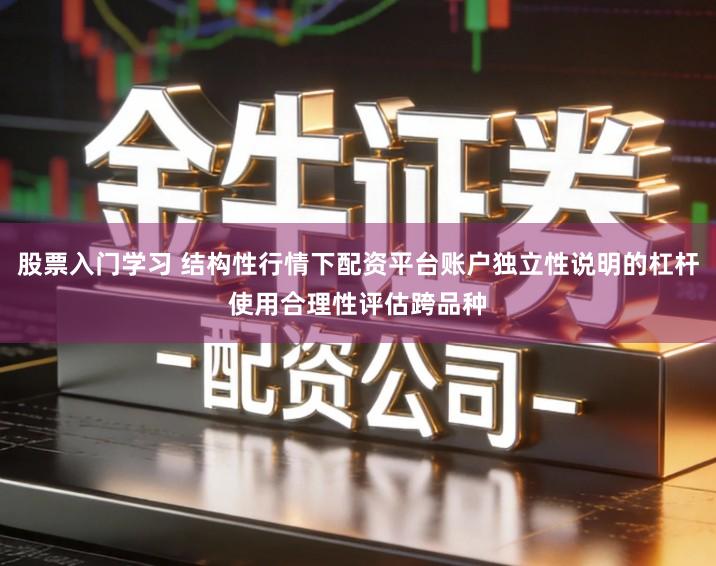 股票入门学习 结构性行情下配资平台账户独立性说明的杠杆使用合理性评估跨品种