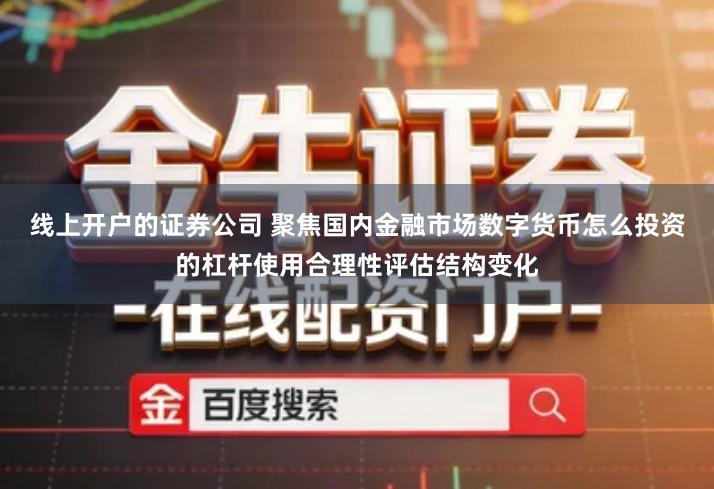 线上开户的证券公司 聚焦国内金融市场数字货币怎么投资的杠杆使用合理性评估结构变化